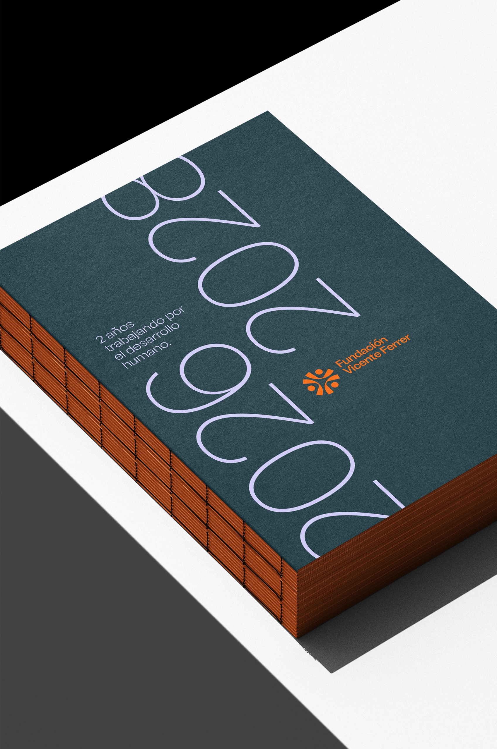 Fundación Vicente Ferrer